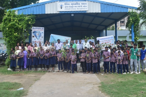 Plantation Drive